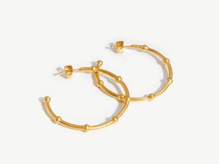 Lucy Williams Orb Hoop Earrings Online Hot Sale