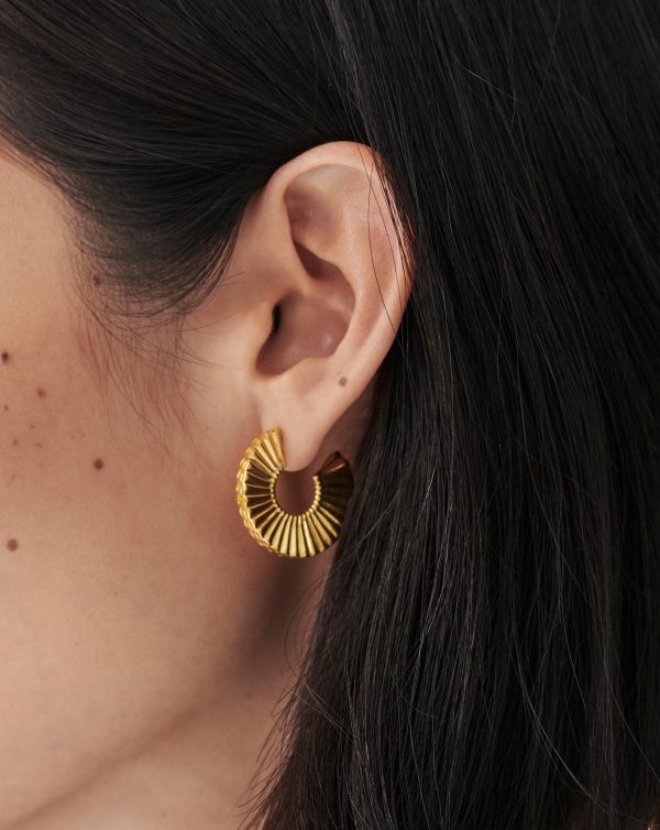 Medium Flat Frill Hoop Earrings Online now