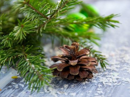 Evergreen Spruce - Premium Fragrance Oil Cheap