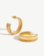 Medium Chunky Frill Hoop Earrings Online Sale