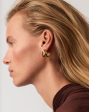 Hera Dome Triple Ridge Hoop Earrings | Gold Plated Supply