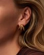 Hera Dome Triple Ridge Hoop Earrings | Gold Plated Supply