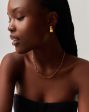 Dome Hoop Earrings & Chain Necklace Set | 18ct Gold Plated Online Hot Sale