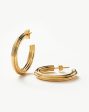 Ridge Medium Hoop Earrings | 18ct Gold Plated Online now