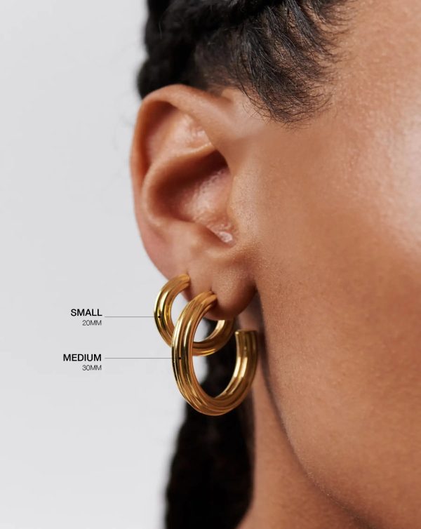 Ridge Small Hoop Earrings | 18ct Gold Plated For Discount