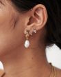 Harris Reed Fine Handpicked Drop Earrings | 14ct Solid Gold Pearl & Blue Sapphire Discount