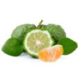 Bergamot & Mandarin - Premium Fragrance Oil on Sale