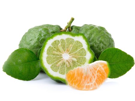 Bergamot & Mandarin - Premium Fragrance Oil on Sale