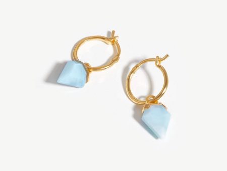 Mini Shield Hoop Earrings Online now