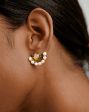 Limited Edition Zenyu Fan Pearl Stud Earrings Fashion