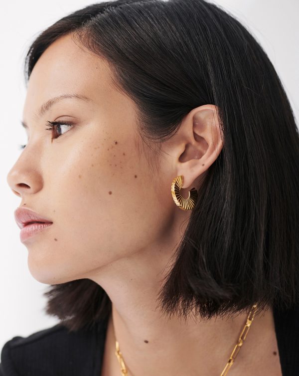 Medium Flat Frill Hoop Earrings Online now