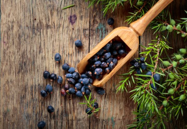 Juniper Berries & Tobacco - Premium Fragrance Oil on Sale