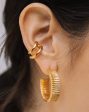 Medium Chunky Frill Hoop Earrings Online Sale