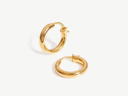 Mini Tunnel Hoop Earrings Online now