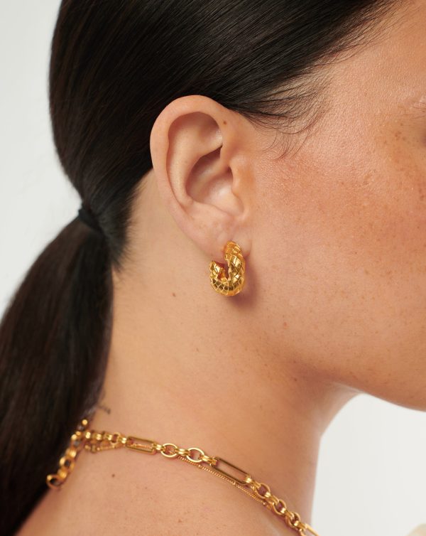 Serpent Chubby Hoop Earrings Fashion