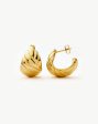 Rouje Lucia Dome Hoop Earrings | 18ct Gold Plated Online Sale