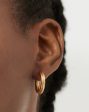 Ridge Small Hoop Earrings | 18ct Gold Plated For Discount