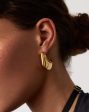 Hera Dome Large Hoop Earrings | 18ct Gold Plated Discount