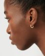 Ridge Mini Hoop Earrings | 18ct Gold Plated Online