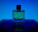 Bleu de Chanel (type) - Premium Fragrance Oil Online Hot Sale