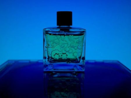 Bleu de Chanel (type) - Premium Fragrance Oil Online Hot Sale