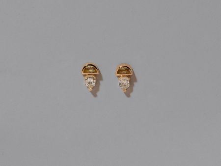 Delphinus Earrings For Discount