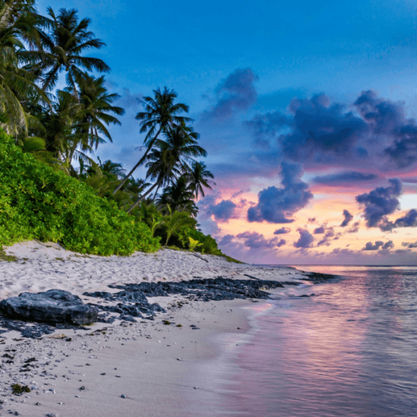 Beach Walk - Fragrance Oil for Candle & Soap Making Fashion