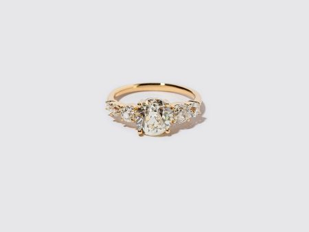 Auriga Ring - White Diamond For Sale