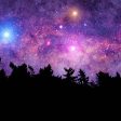 Beneath the Stars - Premium Fragrance Oil on Sale