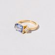 Archway Ring Online now