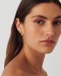 Zenyu Link Ridge Ovate Hoop Earrings | 18ct Gold Vermeil Fashion