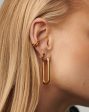 Ovate Hoop Earrings For Discount