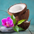 Coconut Passion - Premium Fragrance Oil For Discount