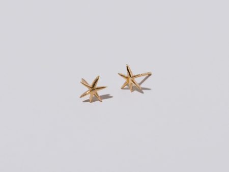 Verve Six Point Star Stud Earrings - Small For Discount