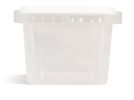 Square Tub w  Tamper Evident Lid - 16 oz Clear Square Container Cheap