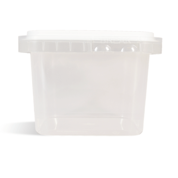 Square Tub w  Tamper Evident Lid - 16 oz Clear Square Container Cheap