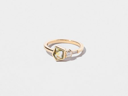 Aglaophotis Ring Hot on Sale