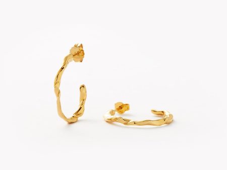 Twisted Medium Hoop Earrings | 18ct Gold Vermeil Supply