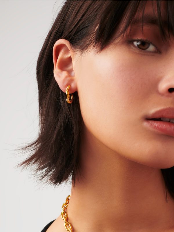 Serpent Textured Squiggle Hoop Earrings | 18ct Gold Vermeil Online Sale