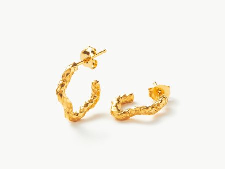 Serpent Textured Squiggle Hoop Earrings | 18ct Gold Vermeil Online Sale