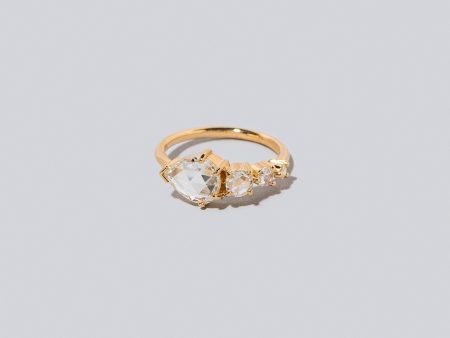 Perennial Ring on Sale