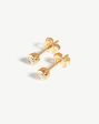 Fine Classic Solitaire Diamond Stud Earrings | 14ct Solid Gold Discount