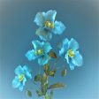 Aqua Flowers - Premium Fragrance Oil Sale