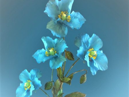 Aqua Flowers - Premium Fragrance Oil Sale