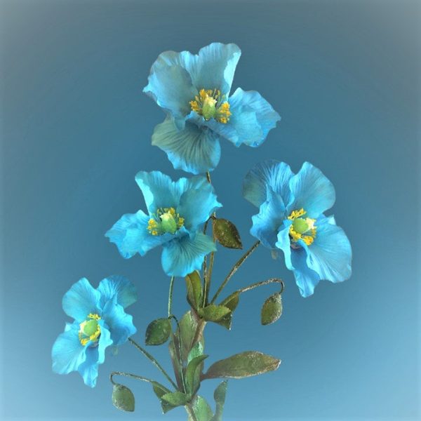 Aqua Flowers - Premium Fragrance Oil Sale