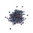 Juniper Berries - Dried Botanicals for Crafting Hot on Sale