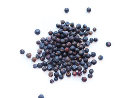 Juniper Berries - Dried Botanicals for Crafting Hot on Sale