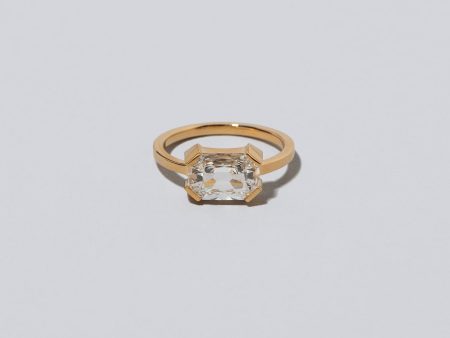 Bright Future Ring Online