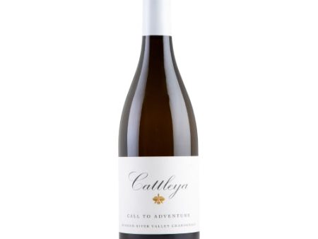 Cattleya Wines Call to Adventure Chardonnay 2019 - 750ML Cheap